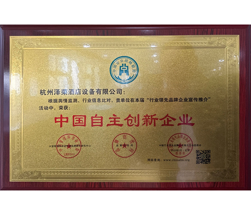 中國自主創新企業