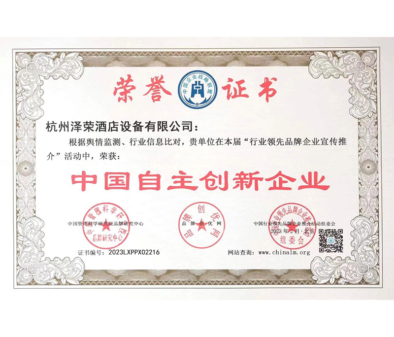 中國自主創新企業